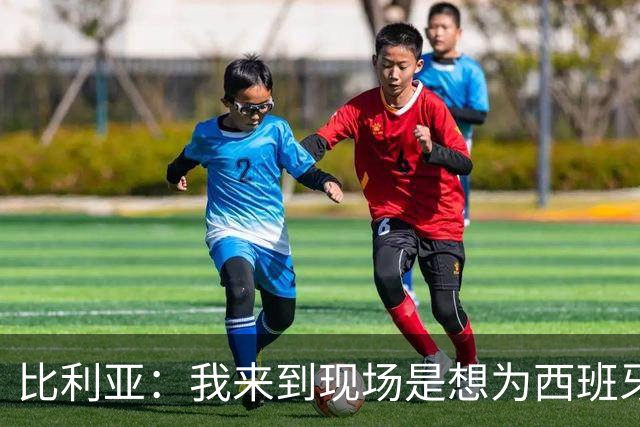 比利亚：我来到现场是想为西班牙助威，希望球队今天能够取胜